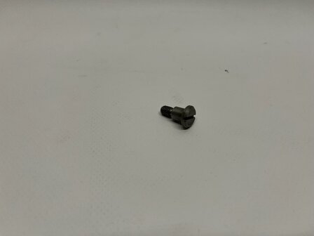 Schroef 6X10 deurklink 056.6024-00506 voor SAEY 92/94/SCOPE