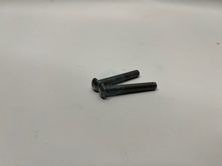 Scharnierpen (&Oslash; 5mm) Voordeur 632030001 Altech Vision